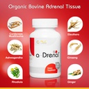 rlc-labs-a-drenal-120-capsules-herbal-co-2.jpg