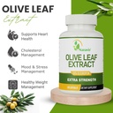 naravis-olive-leaf-extract-50-oleuropein-5.jpg