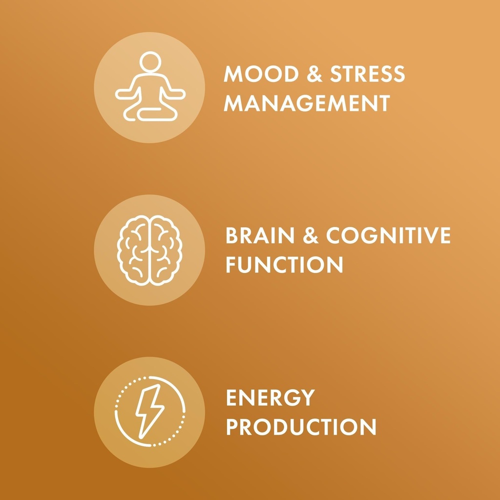 dr-mercola-organic-maca-supports-energy--4.jpg