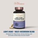 live-conscious-lions-mane-mushroom-suppl-5.jpg