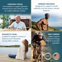 vykee-nutrition-mushroom-complex-lion-s--3.jpg