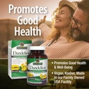 nature-s-answer-dandelion-root-supports--4.jpg