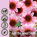 nature-s-answer-echinacea-astragalus-sup-5.jpg