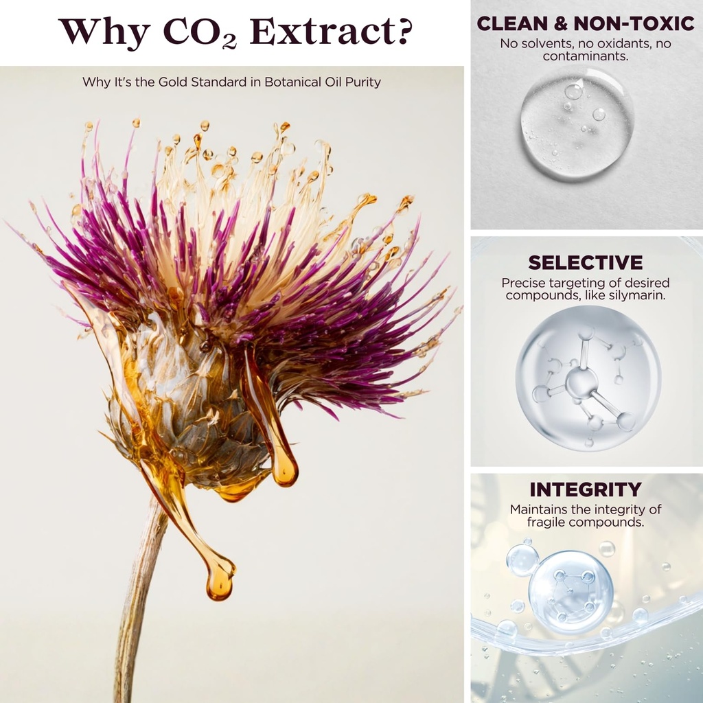 todicamp-milk-thistle-seed-oil-extract-2-3.jpg