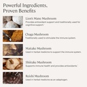 stonehenge-health-dynamic-mushrooms-1-40-3.jpg