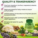 organic-mushroom-complex-lion-s-mane-tur-4.jpg