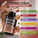 mushroom-supplement-organic-lions-mane-t-4.jpg