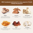 mushroom-coffee-for-better-energy-and-fo-4.jpg