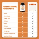force-factor-modern-mushrooms-capsules-m-4.jpg