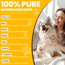 turkey-tail-mushroom-for-dogs-for-yeast--3.jpg