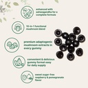 micro-ingredients-mega-mushroom-gummies--3.jpg