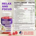 lions-mane-mushroom-ashwagandha-gummies--2.jpg