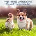 rx-vitamins-colostrum-for-dogs-cats-whol-3.jpg
