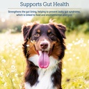 rx-vitamins-colostrum-for-dogs-cats-whol-5.jpg