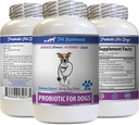 Dog Bad Breath Products - PROBIOTICS for Dogs - Healthy Gut - Stop Gas Diarrhea and Bad Breath - Digestive Boost - Dog probiotics chewable Buddy - 1 Bottle (60 Treats)