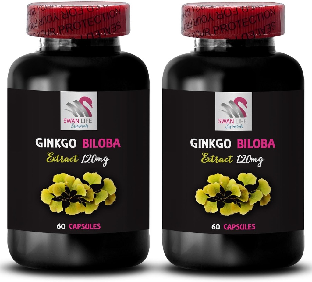 Ginkgo biloba natural - GINKGO BILOBA EXTRACT - Herbal antioxidant product, Botanical extract powder, Ginkgo biloba extract, Antioxidant plant extract, Daily supplement benefits 2 Bottles 120 Capsules
