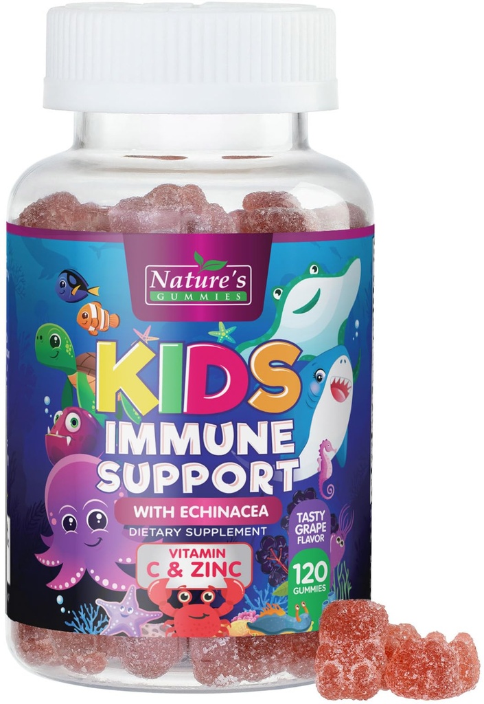 Kids Immune Support Supplement Gummies - Daily Childrens Vitamins C, Zinc & Echinacea - Gummy for Kids Immune Support, Ages 4 and Up, Natural Berry Flavor, Non-GMO, Gluten-Free & Vegan - 120 Gummies