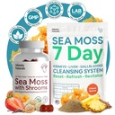Atlantic Naturals Sea Moss Superfood Bundle - Sea Moss with Shrooms Gummies & 7-Day Kidney, Liver & Gallbladder Cleanse - Defense, Focus & Detox Support - Lion's Mane, Reishi, Dandelion Root & More