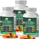 Mushroom Gummies – 10 Mushroom Complex with Lion’s Mane, Reishi, Chaga, Cordyceps & More – Fruity Vegan Gummies – Non-GMO, Gluten-Free, Plant-Based – 3 Packs