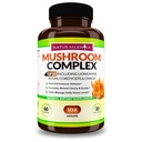Top 10 Mushroom Extracts - White Button, Lions Mane, Cordyceps, Chaga, Reishi Plus - Immune Booster, Nootropic