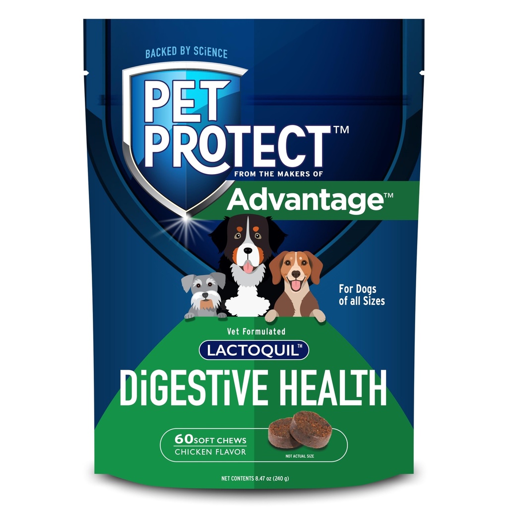 Pet Protect Digestive Health Supplement with Probiotics for Dogs, Vet-Formulated Lactoquil, Chicken-Flavored Soft Chews (60 Count)