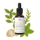 OTA Logic Lion’s Mane Tincture | Clinically Studied MycoThrive™ Liquid Drops for Focus, Memory & Mental Clarity | Fast Acting, Alcohol-Free, Non-GMO, Vegan, 2 Fl Oz