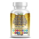 Shilajit Complex – Sea Moss, Tongkat Ali, Ashwagandha, Ginseng, Zinc, CoQ10, PQQ & Magnesium – Fulvic Acid Capsules for Energy, Vitality & Performance with Panax Cordyceps – 90 Capsules