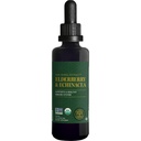 Global Healing USDA Organic Elderberry & Echinacea Liquid Supplement Tincture | Antioxidant Immune Support Against Harmful Organisms for Adults and Kids, Vegan, Non-GMO, 1-Month Supply (2 Oz)