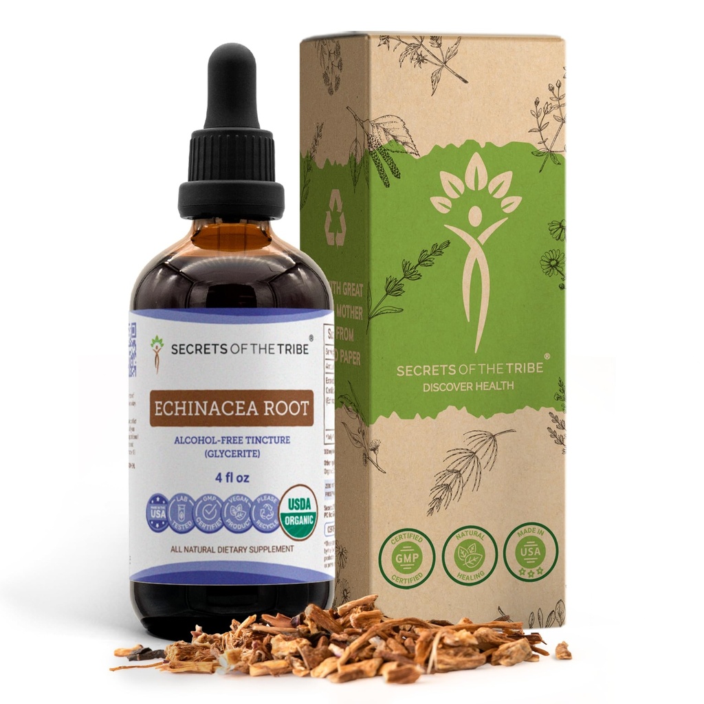 Echinacea Root USDA Organic Tincture | Alcohol-Free Extract, High-Potency Herbal Drops, Immune System Health | Made from 100% Certified Organic Echinacea Root (Echinacea Purpurea) 4 oz