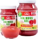 Wildcrafted Irish Sea Moss Gel | Made in USA | Rich in Vitamins & Minerals | Sea Moss Gel Raw | Nutritional Supplement | Raspberry (16 oz)