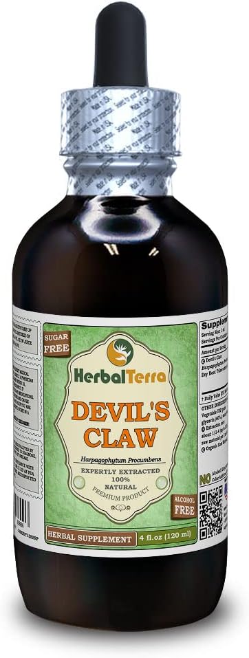 Devil's Claw (Harpagophytum Procumbens) Glycerite, Organic Dried Root Alcohol-Free Liquid Extract (Brand Name: HerbalTerra, Proudly Made in USA) 4 fl.oz (120 ml)