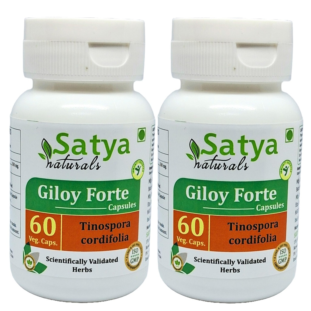 Giloy Forte Capsules 500 mg. 60 Veg. Capsule | Guduchi (Tinospora Cordifolia) Extract Capsules for Men and women | Indian Ayurvedic Herbal Supplement/Remedies (2 Bottles of 60 Capsules)