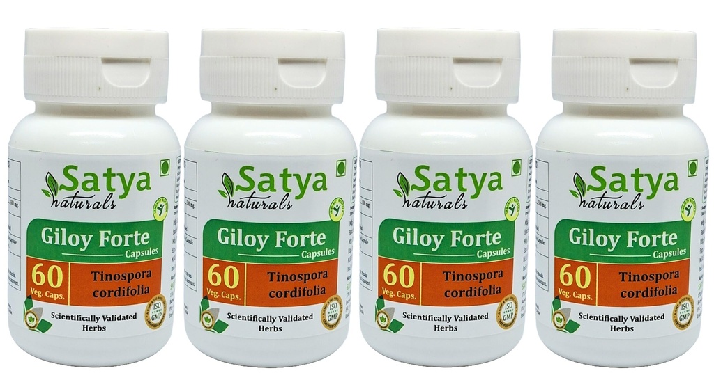 Giloy Forte Capsules 500 mg. 60 Veg. Capsule | Guduchi (Tinospora Cordifolia) Extract Capsules for Men and women | Indian Ayurvedic Herbal Supplement/Remedies (4 Bottles of 60 Capsules)