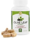 Olive Leaf Extract - 500mg - Supplement Standardized to 25% Oleuropein - 20% Hydroxytyrosol - 40% Polyphenols - Non-GMO + Gluten Free + Dairy Free + Soy Free + Vegan (30 Capsules)
