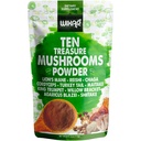 Wixar Mushroom Powder - Ten Treasure Mushrooms Extract Supplement Blend for Coffee & Smoothies - Lions Mane, Turkey Tail, Reishi, Chaga, Shiitake, Cordyceps, Complex - 4oz Mushroom Supplement