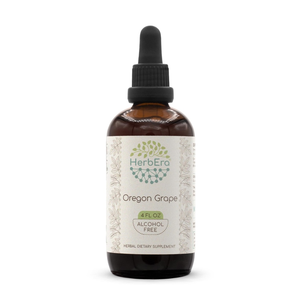 HerbEra Oregon Grape B120 Alcohol-Free Herbal Extract Tincture, Super-Concentrated Responsibly farmed Oregon Grape (Mahonia spp.) (4 fl oz)
