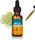 Herb Pharm Khella Liquid Extract for Respiratory System Support - 1 Ounce (DKHELL01)