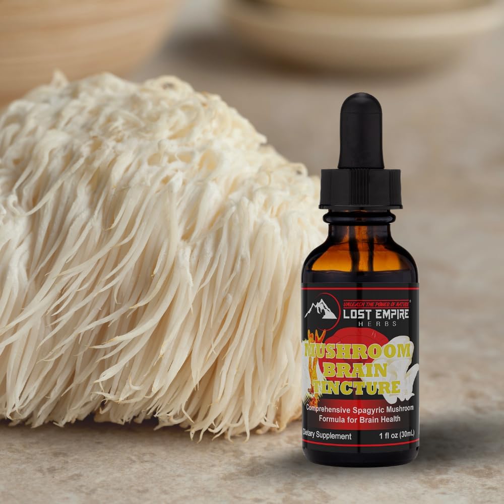 Lost Empire Herbs Mushroom Brain Spagyric Tincture | Dual Extract of Lion's Mane, Cordyceps, Reishi, Oyster Mushrooms for Cognition (1 fl oz)