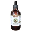 Hawaii Pharm Brahmi Alcohol-Free Liquid Extract, Brahmi Liquid (Bacopa Monnieri) Whole Dried Herb Glycerite Natural Herbal Supplement 2 oz