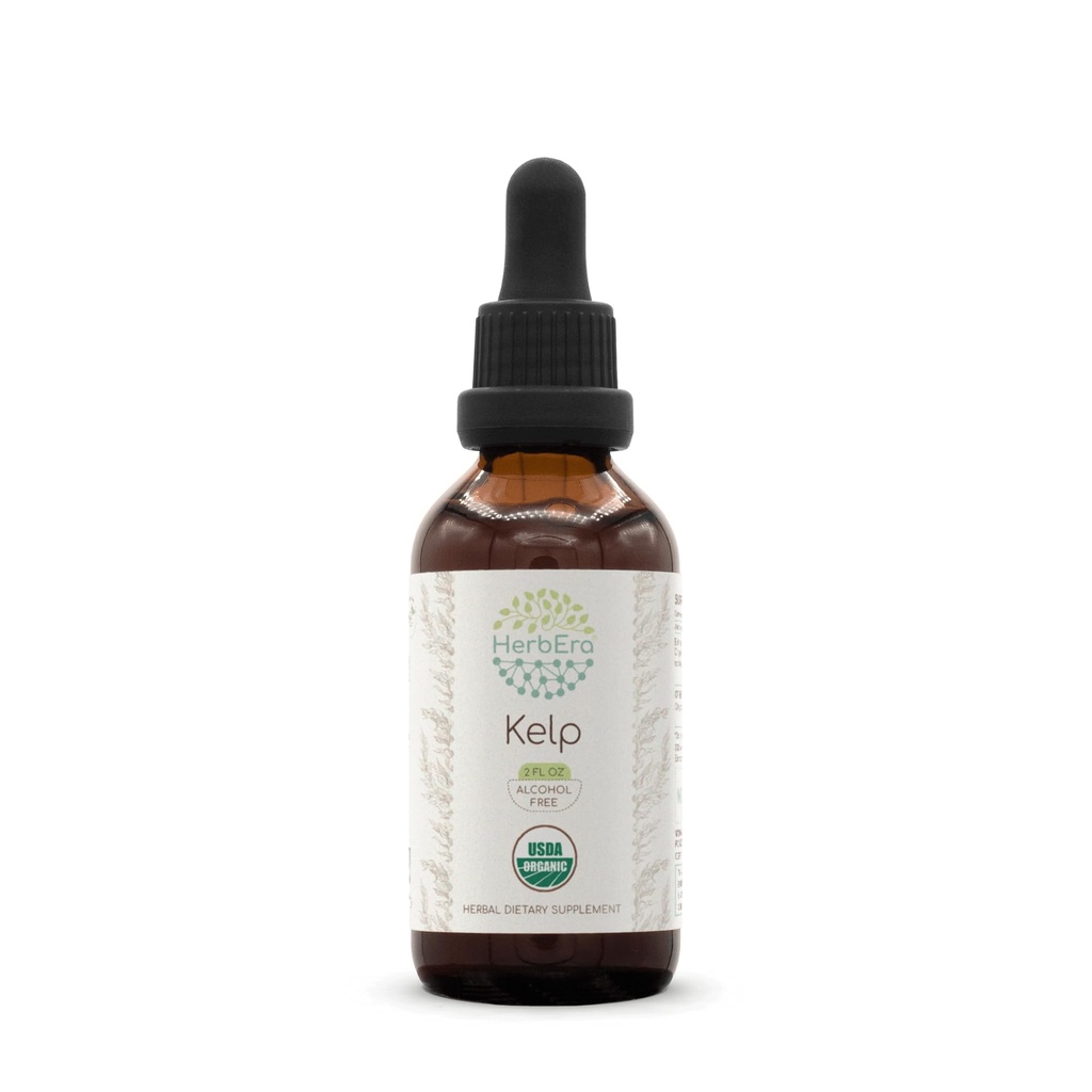 HerbEra Kelp B60 USDA Organic Tincture | Alcohol-Free Extract, High-Potency Herbal Drops | Certified Organic Kelp (Ascophyllum nodosum) Dried Plant (2 oz)
