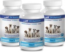 dog bladder chews - DOG URINARY TRACT SUPPORT - NATURAL CRANBERRY SOLUTION - BLADDER HEALTH - VET RECOMMENDED - cranberry supplement for dogs amazing - 3 Bottle (270 Treats)