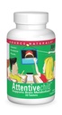 Source Naturals Attentive Child - Healthy Cognitive Nutrients for Active Children - Improved Focus & Attention with DMAE, Magnesium, Zinc & Grape Seed Extract - 30 Tablets