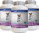 Dog Vomit Diarrhea - PROBIOTICS for Dogs - Healthy Gut - Stop Gas Diarrhea and Bad Breath - Digestive Boost - Dog probiotics chewable Buddy - 3 Bottles (180 Treats)