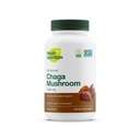 Organic Chaga Mushrooms – Strongest DNA Verified 1500mg Per Serving – High in Fiber – Non GMO, Gluten & Soy Free, Vegan Friendly