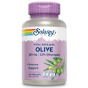 SOLARAY Olive 250mg - Olive Leaf Extract Capsules with 22% Oleuropein, Plus Lemon Balm - Polyphenols Supplement for Wellness Support - Vegan, 60-Day Guarantee, Lab Verified - 120 Servings, 120 VegCaps