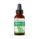 Herbal Goodness Moringa Extract Liquid Drops 1 Fl. oz - Superfoods Tincture for Energy & Immune Support, Organic and Highly Bioavailable Alternative to Moringa Capsules & Powder, Non-GMO Vegan