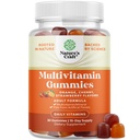Potent Daily Multivitamin Gummies for Adults - Wellness Blend of Vitamin D A C E B12 Zinc and Biotin - Adult Vitamin Gummy for Energy and Immunity - Non-GMO Gluten Free and Halal Gummies 30 Count