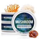 CONVERTTA Mushroom Nootropic Pouches - 200mg Nicotine-Free, Caffeine-Free Organic Mushroom Energy Ultra Pouches with Lion's Mane, Reishi, Cordyceps for Focus & Clean Energy - (3, Cool Mint)