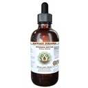 Hawaii Pharm Stinging Nettle Alcohol-Free Liquid Extract, Professional Grade, Small Batch Crafted Stinging Nettle (Urtica Dioica) Dried Leaf Glycerite Natural Herbal Supplement, 2 fl.oz