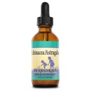 HERBS FOR KIDS Echinacea Astragalus - Organic Echinacea Drops - Wellness Herbs - with Organic Astragalus, Lemon Balm, Peppermint - Ages 1 and Up - Made Without Alcohol - Great Taste - 39 Servings, 4oz | Liquid Echinacea Drops, Liquid Herbal Extract, Alcohol-Free Tincture for Toddlers